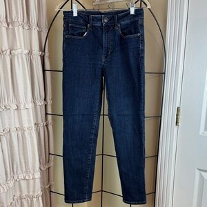 American Eagle Outfitters Women's High Rise Skinny Jeans Dark Wash Size 6P